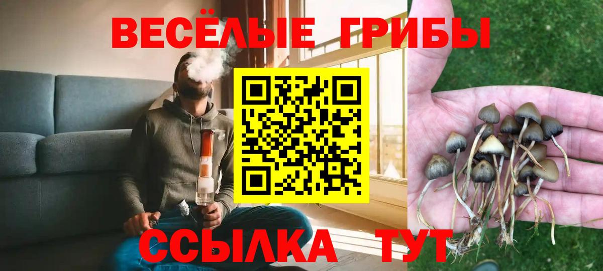 закладка  Вход с VPN  Псилоцибиновые грибы GOLDEN TEACHER  Анжеро-Судженск  Псилоцибиновые грибы MAGIC MUSHROOMS 